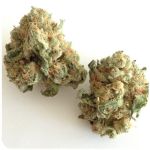 Шишки "White Widow" (Белая вдова) Гидропоника - Бошка VHQ в Можайске Шишки "White Widow" (Белая вдова) Гидропоника - Бошка VHQ в Можайске