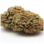 Шишки AK47 (Гидропоника, Бошка) VHQ в Можайске Шишки AK47 (Гидропоника, Бошка) VHQ в Можайске